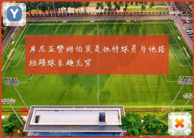 库尼亚赞姆伯莫是独特球员与他搭档踢球乐趣无穷