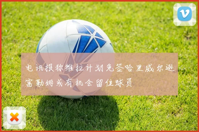 电讯报称维拉计划免签哈里威尔逊富勒姆或有机会留住球员