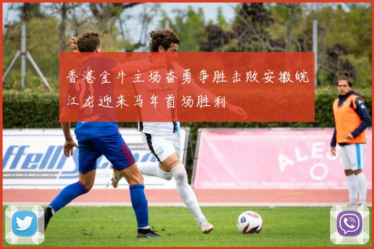 香港金牛主场奋勇争胜击败安徽皖江龙迎来马年首场胜利