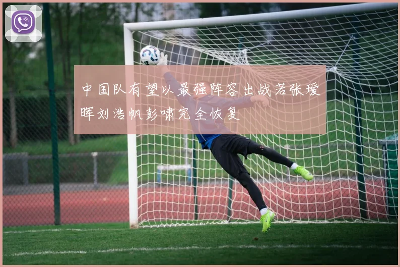 中国队有望以最强阵容出战若张瑷晖刘浩帆彭啸完全恢复