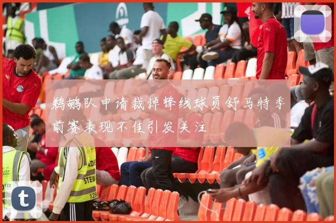 鹈鹕队申请裁掉锋线球员舒马特季前赛表现不佳引发关注