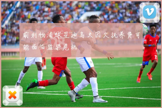 前利物浦球星迪乌夫因欠抚养费可能面临监禁危机