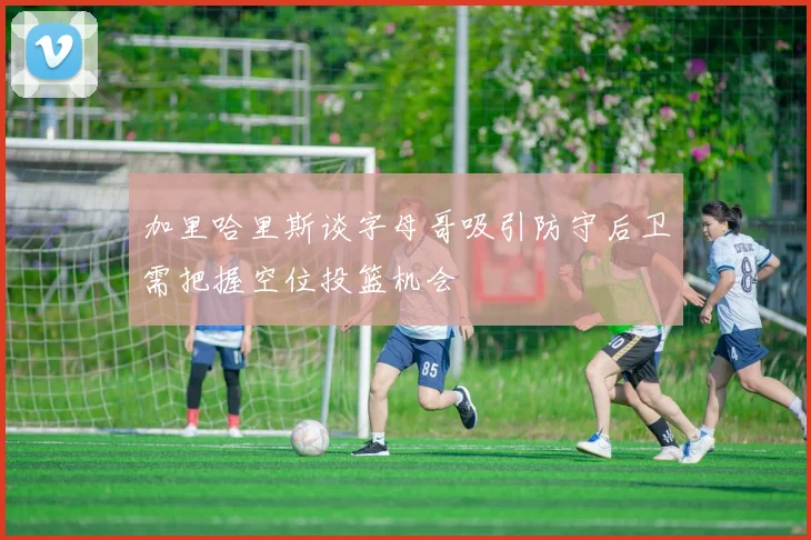 加里哈里斯谈字母哥吸引防守后卫需把握空位投篮机会