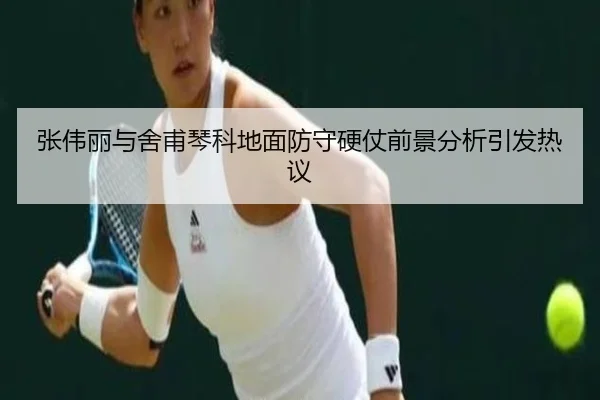 张伟丽与舍甫琴科地面防守硬仗前景分析引发热议 - kaiyun